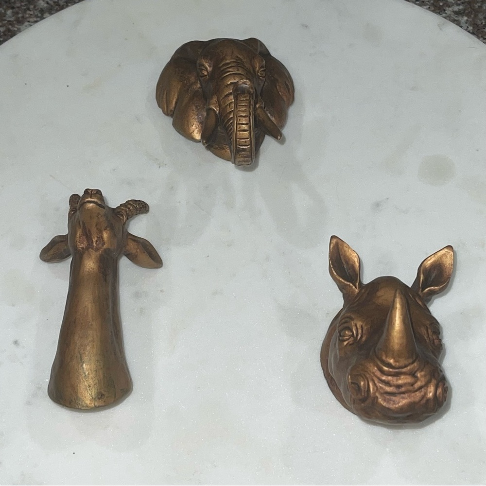 Wall Safari Decor